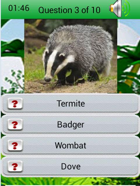 Kids Learning : Wild Animals截图3