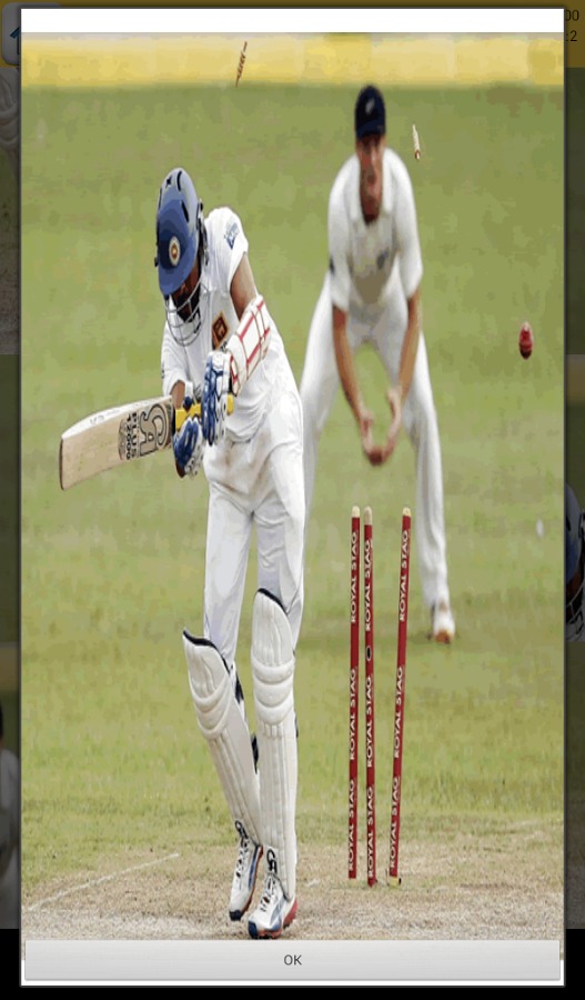 Cricket Games截图2