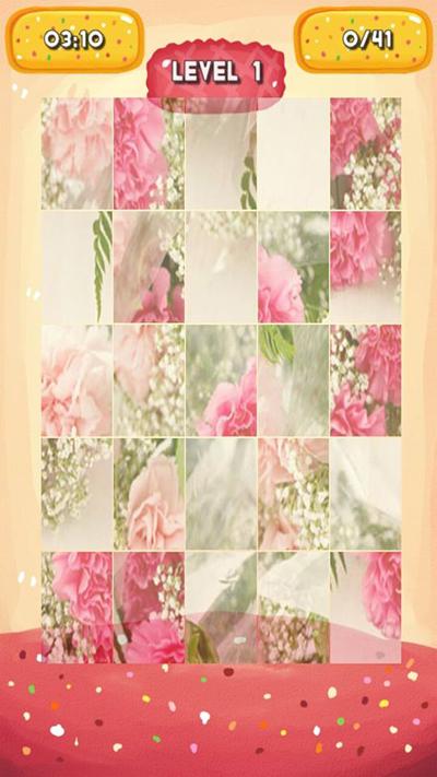 Carnation Jigsaw Puzzles截图4