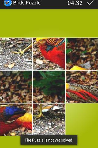 Birds Puzzle截图5