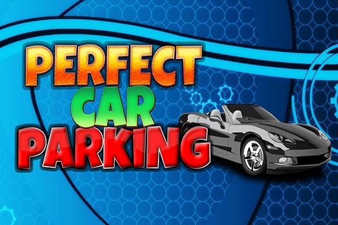 Perfect Car Parking截图1