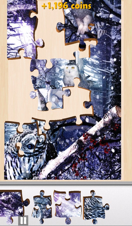 Live Jigsaws - Winterland Free截图1