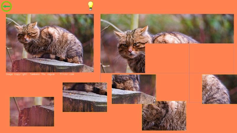 Cat Puzzle - Best For Kids截图3