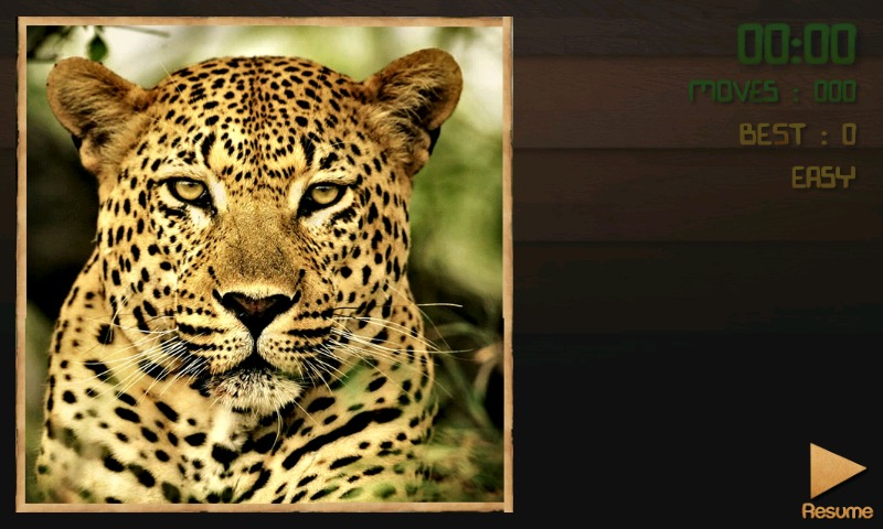 PuzzBox Africa Picture Puzzle截图4