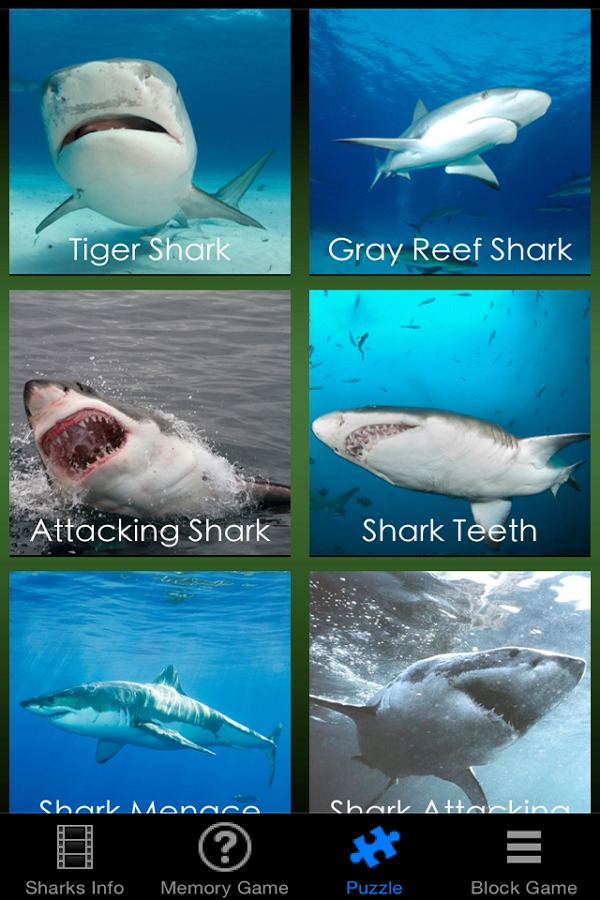 Shark Revenge Attack截图3