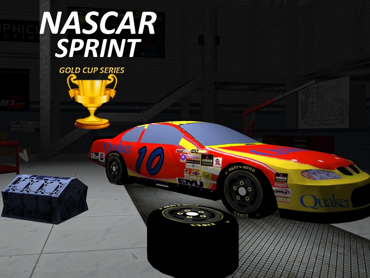 Nascar Sprint Gold Cup 3D截图1