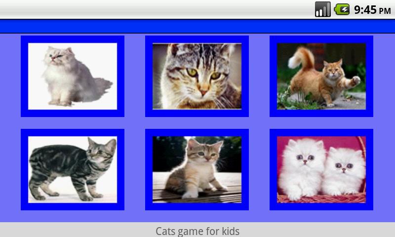 Cat Game截图1