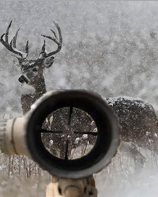 Deer Winter Hunter 2014截图3