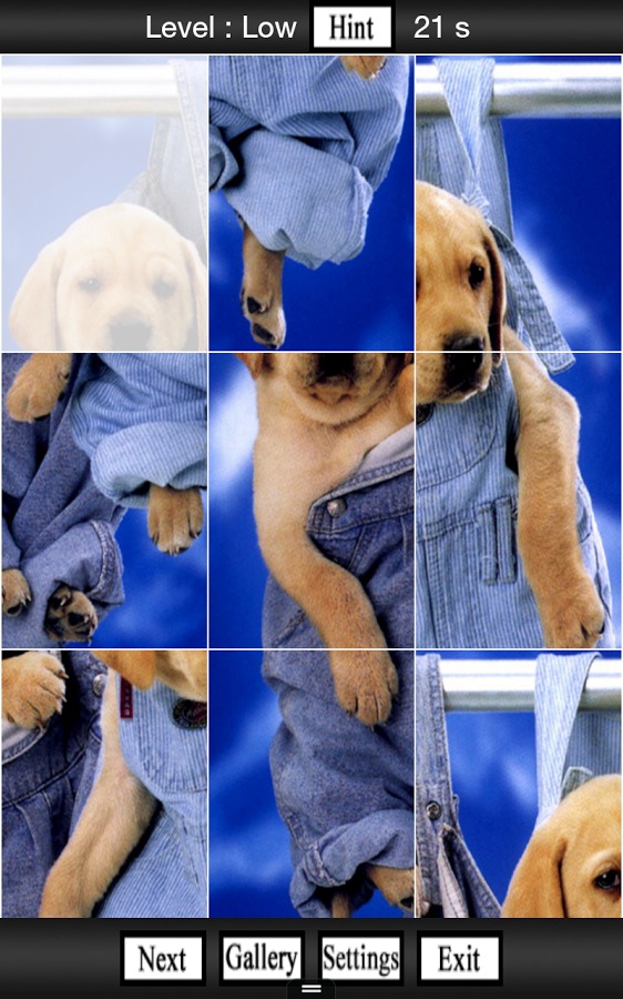 Cute Dogs, Puppies Jigsaw Game截图3