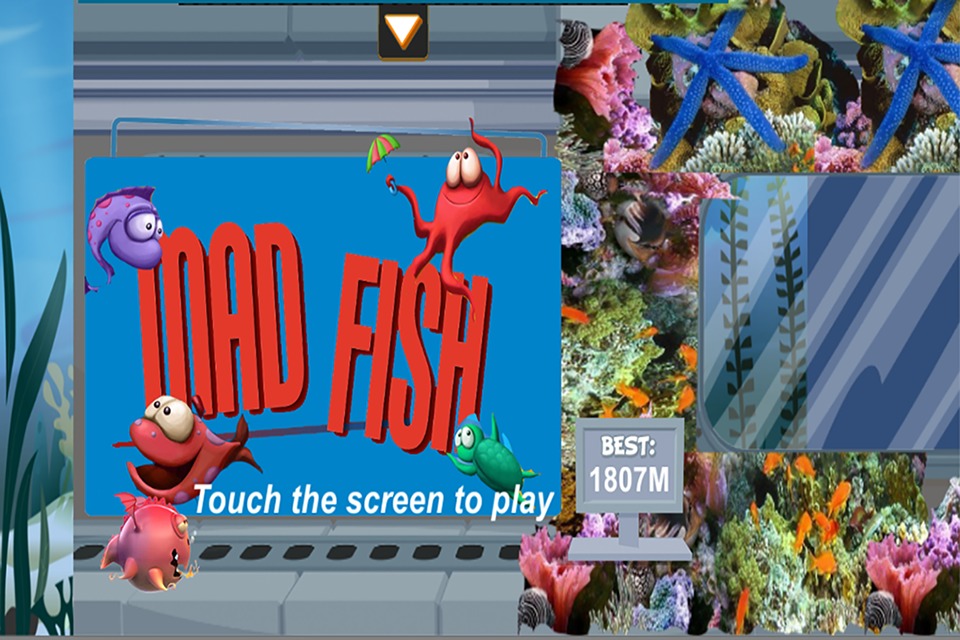 MAD FISH截图1