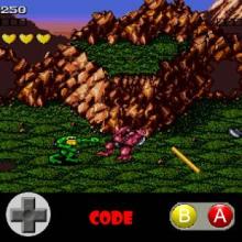 Guide NES : Battletoads Classic Game截图2