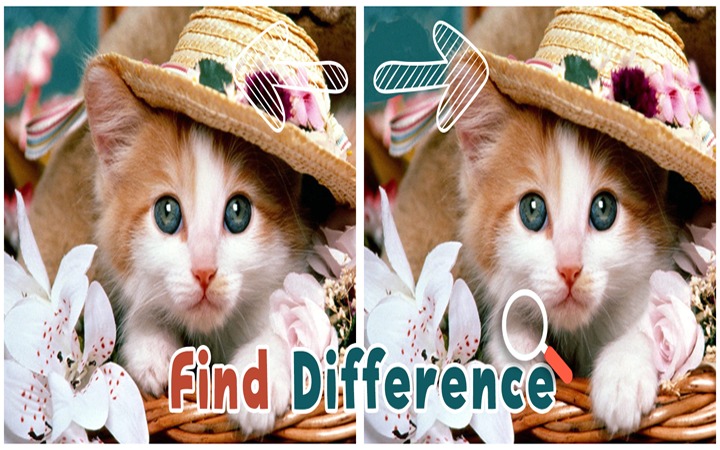 Find 5 Difference : Cats截图1