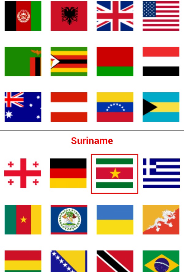 Logo Quiz - World Flags Guide截图2