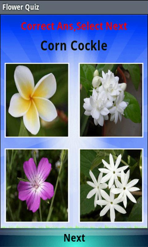 Flower Quiz截图3