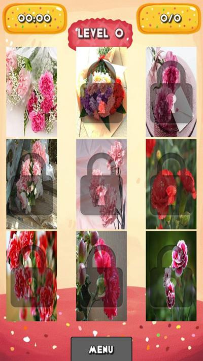 Carnation Jigsaw Puzzles截图2