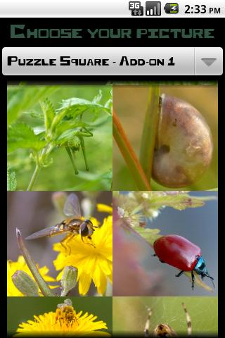 PuzzleSquare - Pack 1截图2