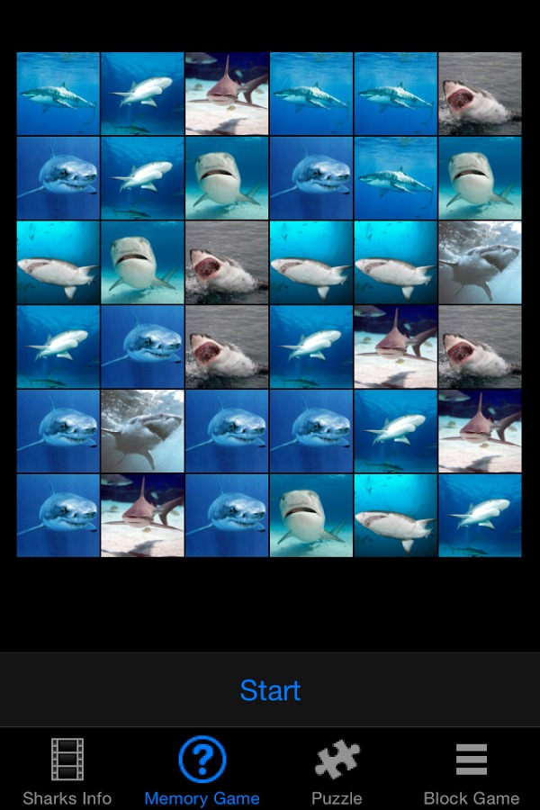 Shark Revenge Attack截图2