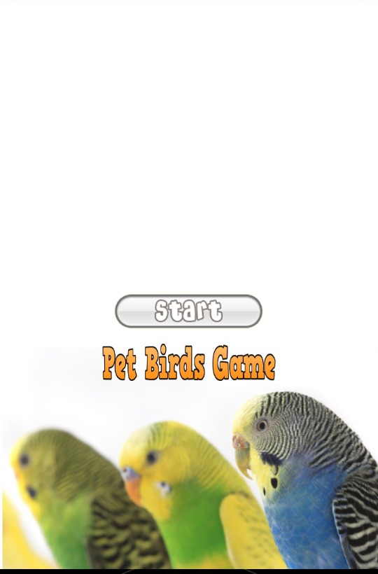 Pet Birds Game截图3