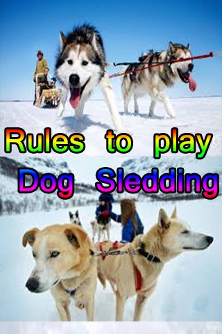 Rules to play Dog Sledding截图1