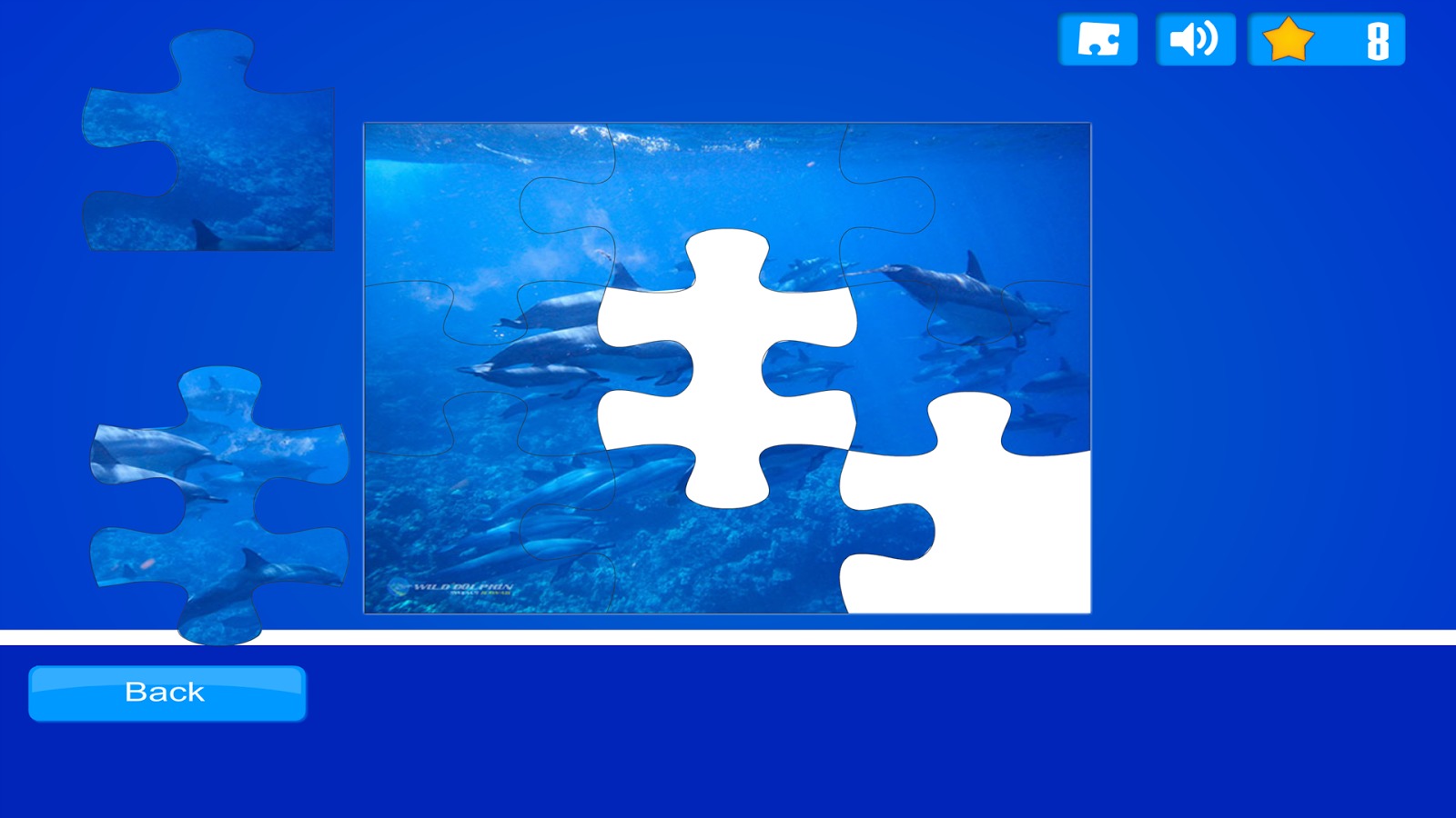 Dolphin Puzzles截图2