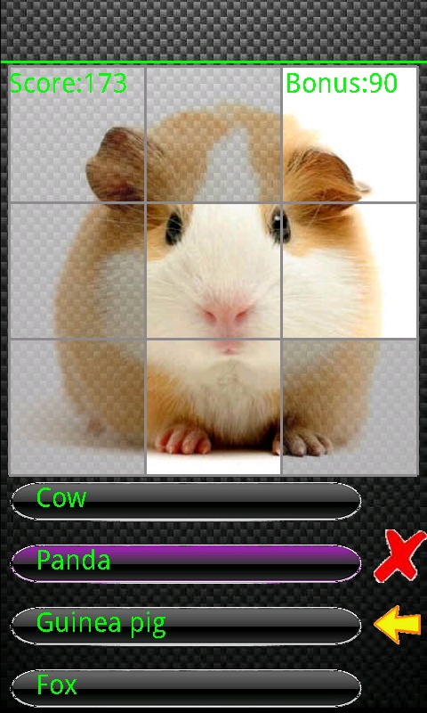 The Animal Quiz截图2