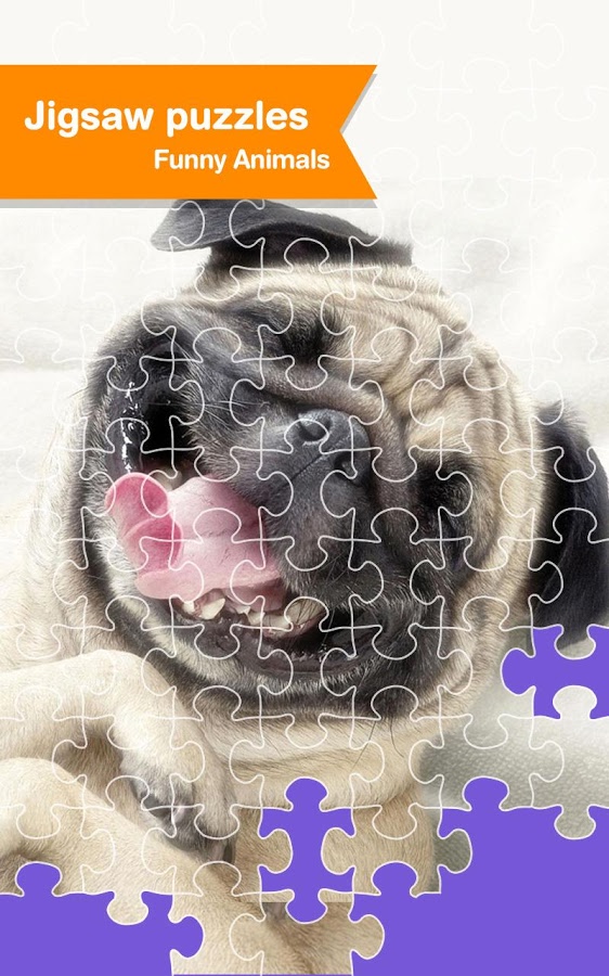 Jigsaw Puzzle - Pet Animal Fun截图5