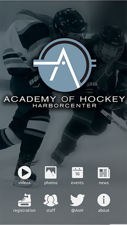 Academy of Hockey截图1