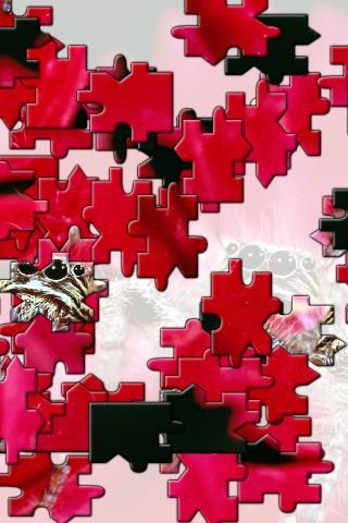 Frog Jigsaw Puzzle截图2