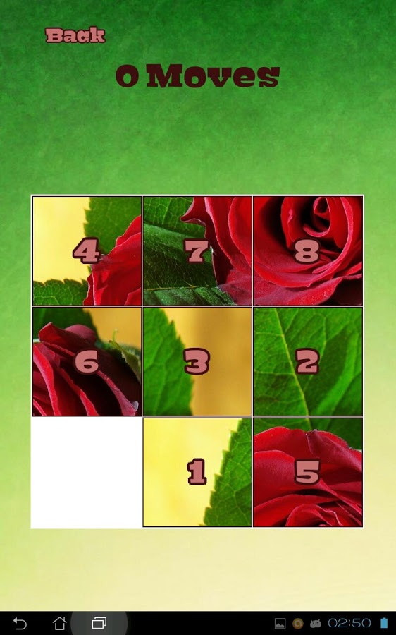 Flower Puzzles截图3