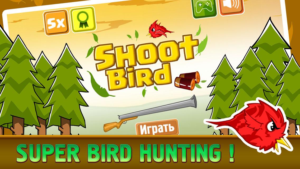 Shoot Bird截图1