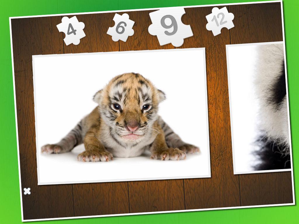 Baby animal puzzle截图1