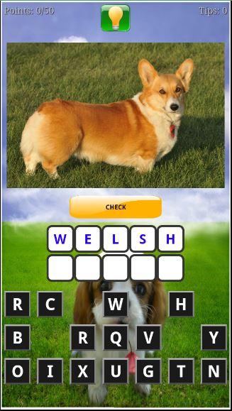 Puppy Dog Breeds Quiz截图4