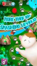 Sweety Cats - Match 3 Games截图2