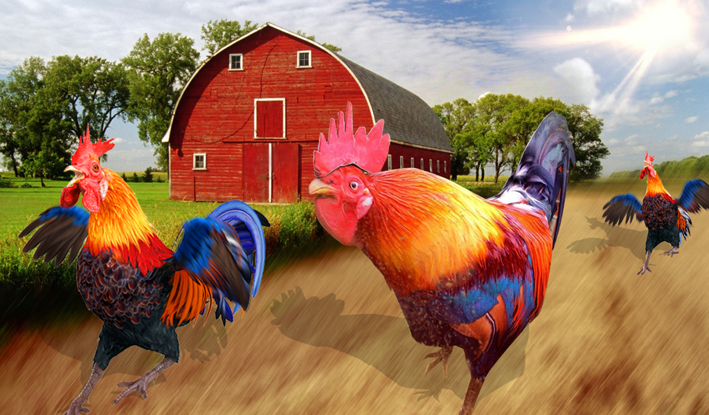 Rooster Race and Run Game截图5