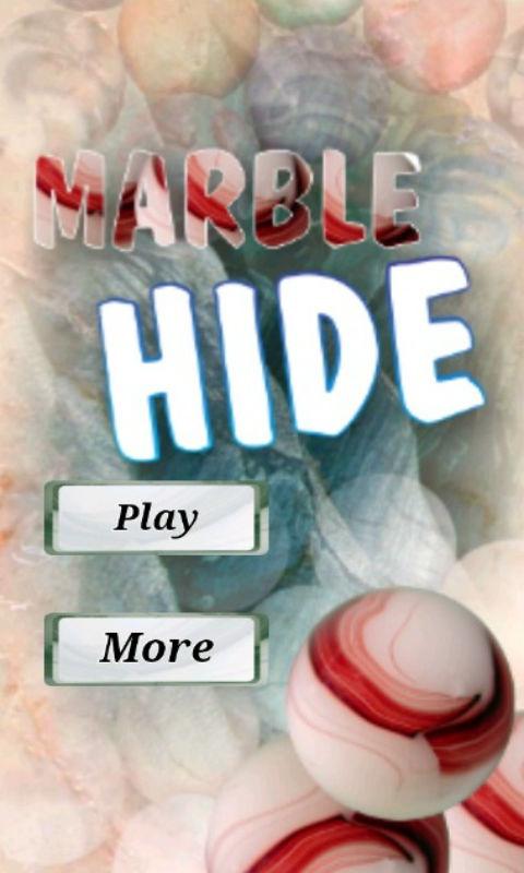 Marble Hide截图2