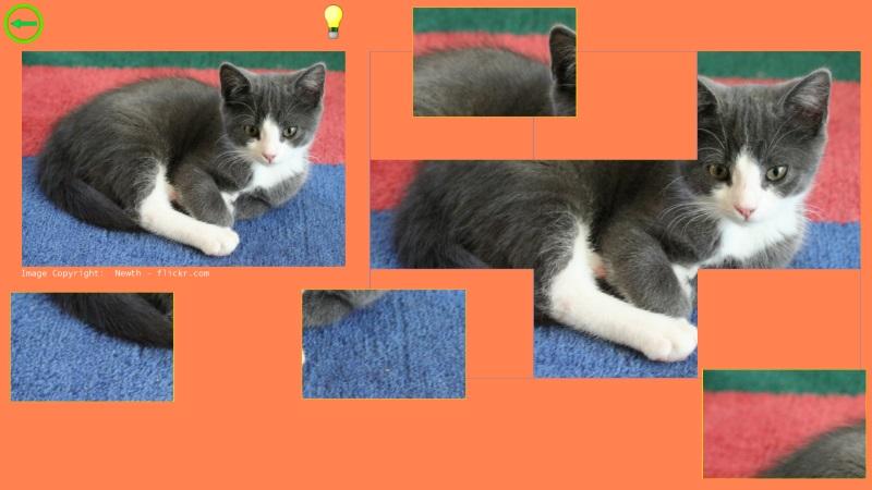 Cat Puzzle - Best For Kids截图4