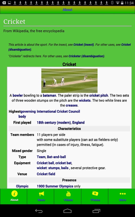 International Cricket截图2