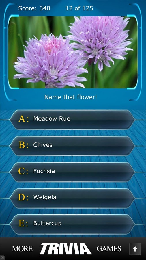 Name that Flower Trivia截图4