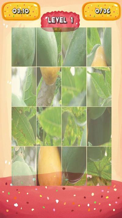 Papaya Jigsaw Puzzles截图5