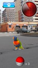 Pocket Pets GO截图4