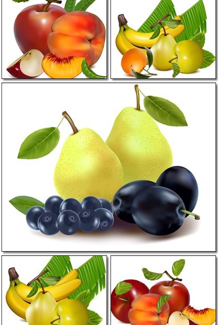 Free Fruit Games App截图3