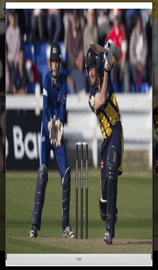 Cricket Games截图5