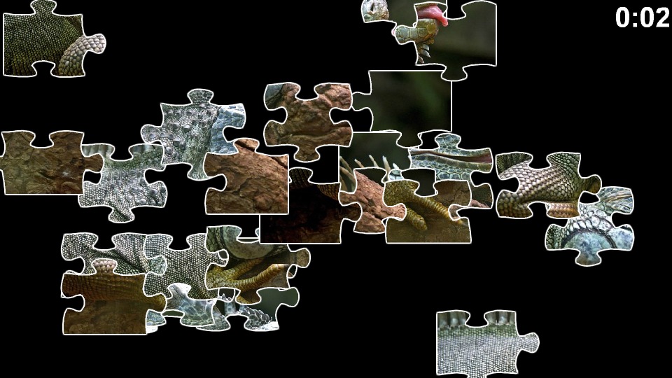 Lizard Jigsaw Puzzles截图2