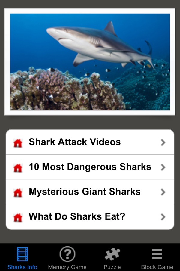 Shark Revenge Attack截图1