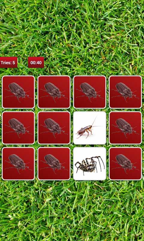 Insect Memory Game截图5