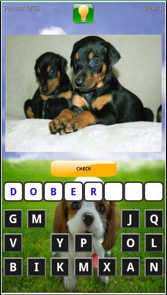 Puppy Dog Breeds Quiz截图2