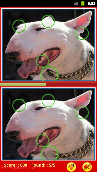 Bull Terrier: Find Differences截图3