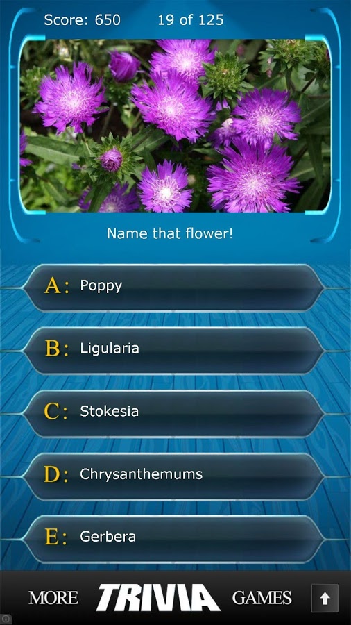 Name that Flower Trivia截图1