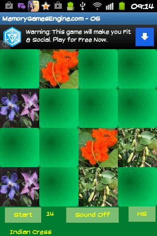 Memory game - Medicinal plants截图4