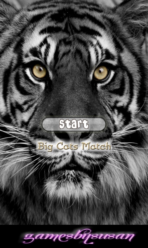 Big Cats Match截图1